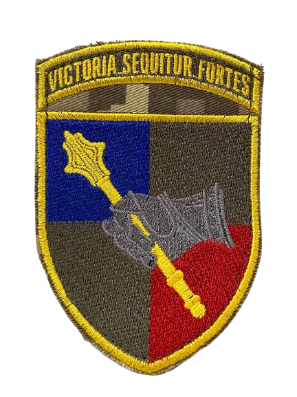 Шеврон Командування сухопутних військ "VICTORIA SEQUITUR FORTES" ММ14