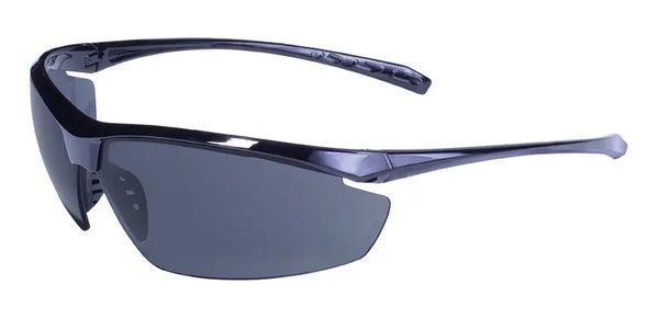Очки защитные Global Vision Lieutenant (smoke) черные 425254 фото