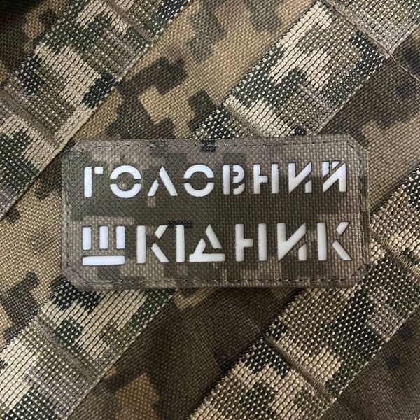 Шеврон &ldquo;Головний шкідник&rdquo; mm14/gl 455653 фото