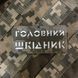 Шеврон &ldquo;Головний шкідник&rdquo; mm14/gl 455653 фото 1