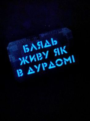 Шеврон &ldquo;Живу як в дурдомі&rdquo; мм14/gl 56758 фото
