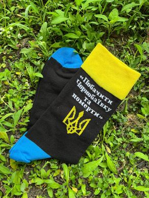 Шкарпетки з принтом "Чорнобаївка"