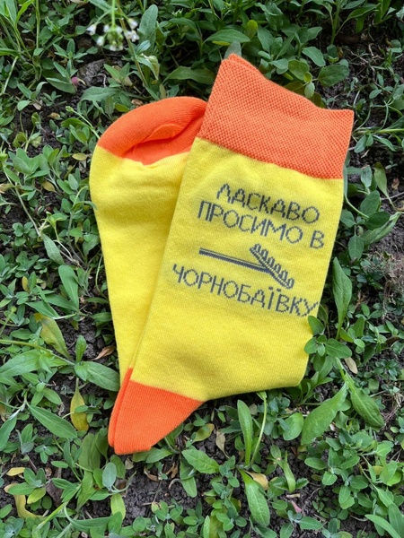 Шкарпетки з принтом "Ласкаво просимо до Чорнобаївки"